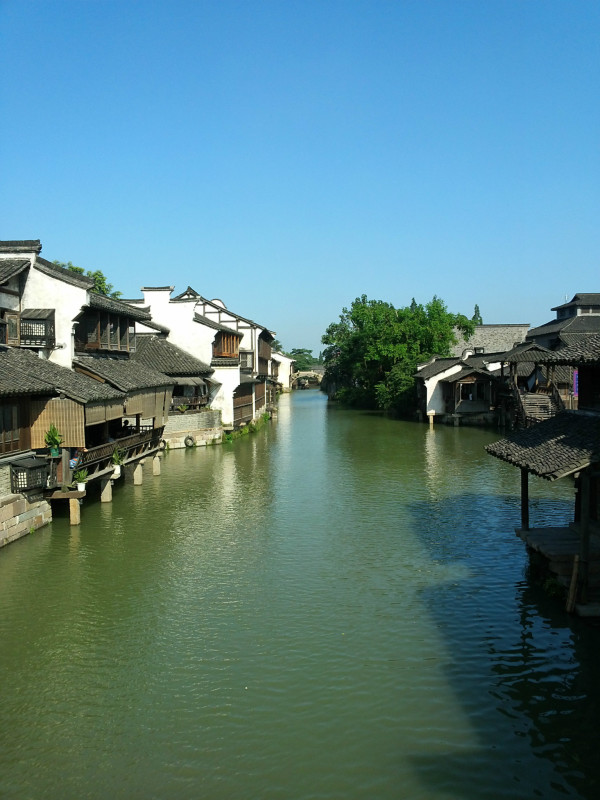 漫步浙江江南，体验小清新水乡的温柔时光🌸🏞️