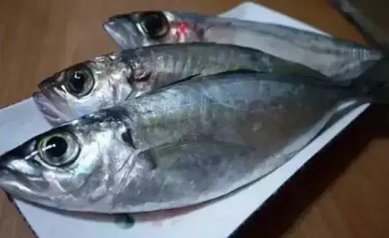 海南小巷美食探秘，独特风味宝藏大揭秘