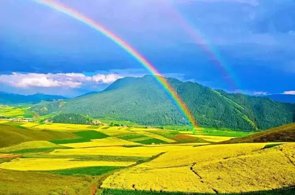 青海盛会，尊敬的领导与朋友们的相聚盛典