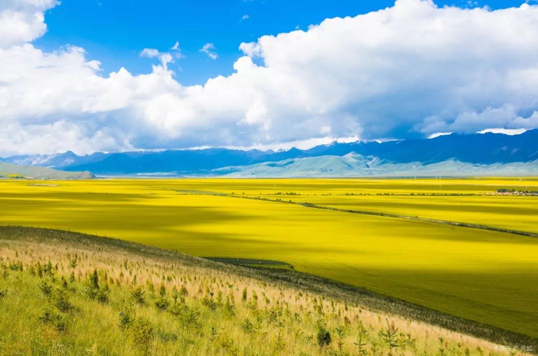 青海盛会,尊敬的领导与朋友们的相聚盛典